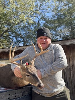 Deer Photos 2025-2026