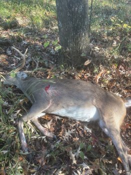 Zach Mathis bow harvest