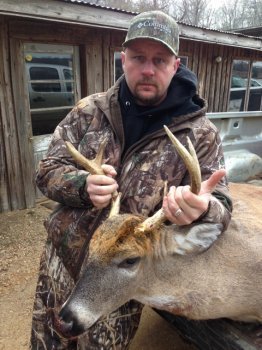 Deer Past