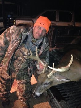 Deer Past