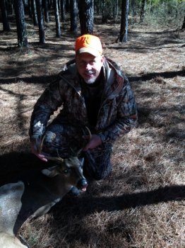 Deer Past