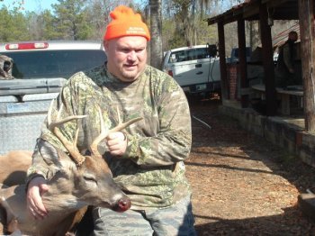 Deer Past