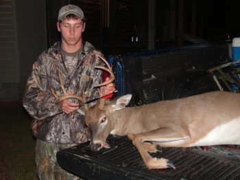 Deer Past