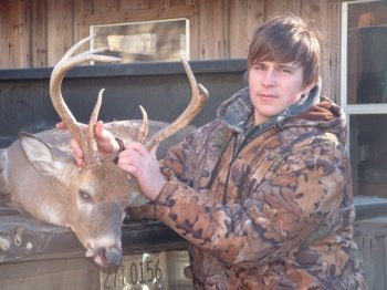 Deer Past