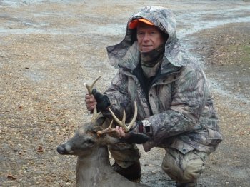 Deer Past