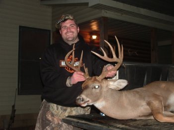 Deer Past