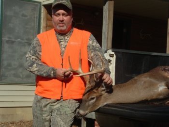 Deer Past