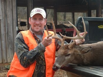 Deer Past