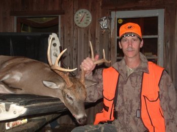Deer Past