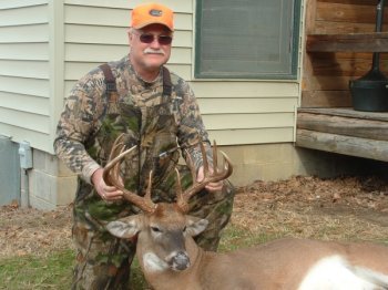 Deer Past