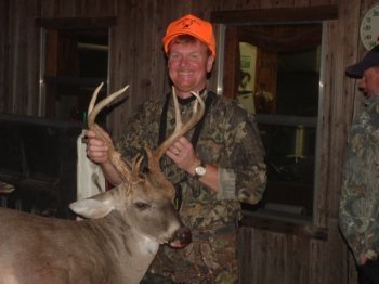 Deer Past
