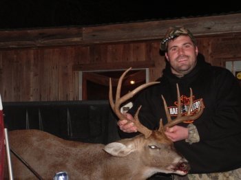 Deer Past