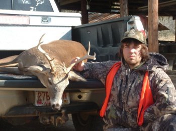 Deer Past
