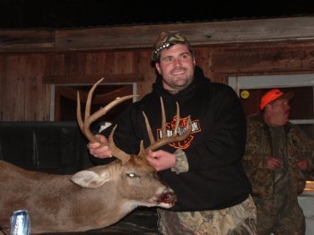 Deer Past