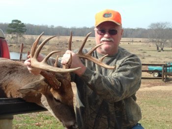 Deer Past