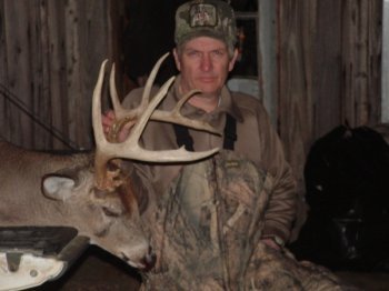 Deer Past