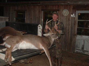Deer Past