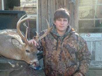 Deer Past