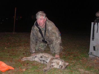 Deer Past