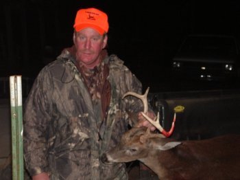 Deer Past