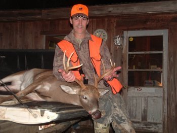 Deer Past