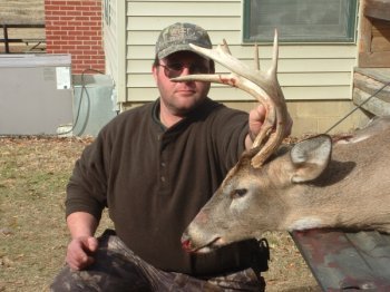 Deer Past