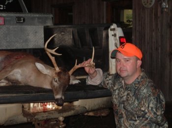 Deer Past