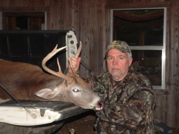 Deer Past