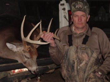 Deer Past