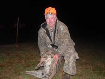 Deer Past