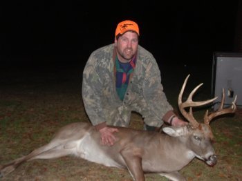 Deer Past