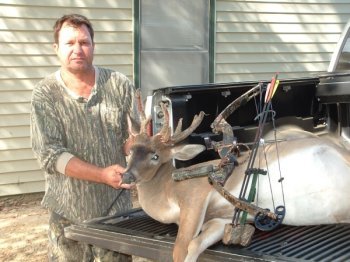 Deer Past
