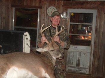 Deer Past