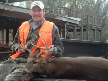 Deer Past