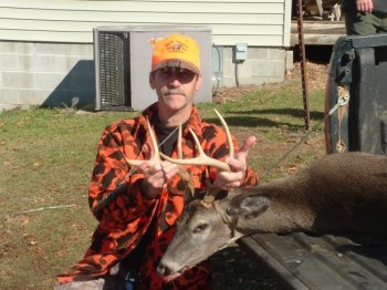 Deer Past