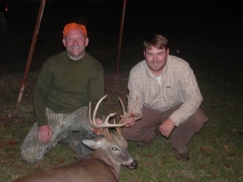 Deer Past