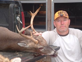 Deer Past