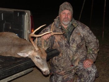 Deer Past