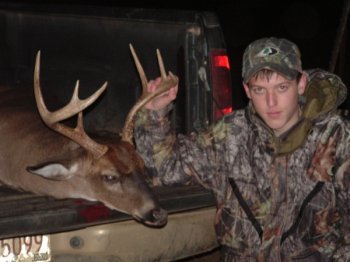 Deer Past