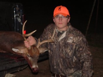 Deer Past