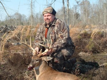 Deer Past