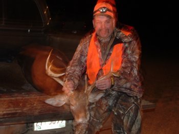Deer Past