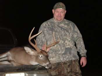 Deer Past