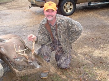 Deer Past