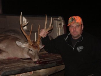Deer Past