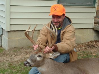 Deer Past