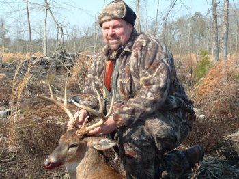 Deer Past