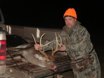 Deer Past