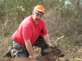 Deer Past