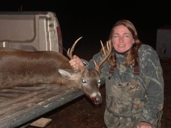 Deer Past